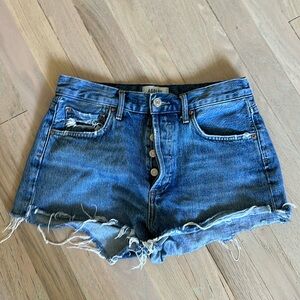 Agolde Parker shorts